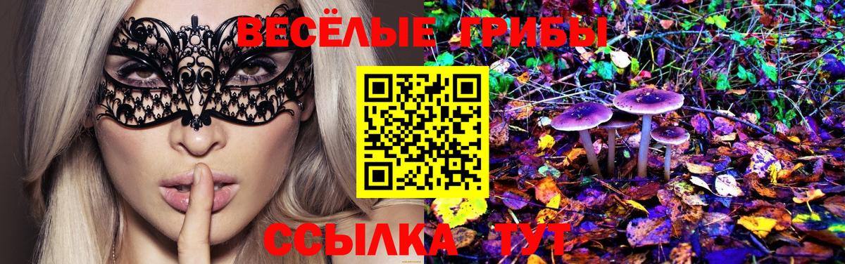 Галлюциногенные грибы ЛСД Майский